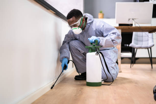 Best Fumigation Services  in Laurium, MI